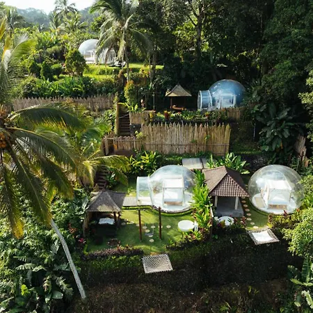 Bubble 8 - Private Pool Jungle Escape Ubud