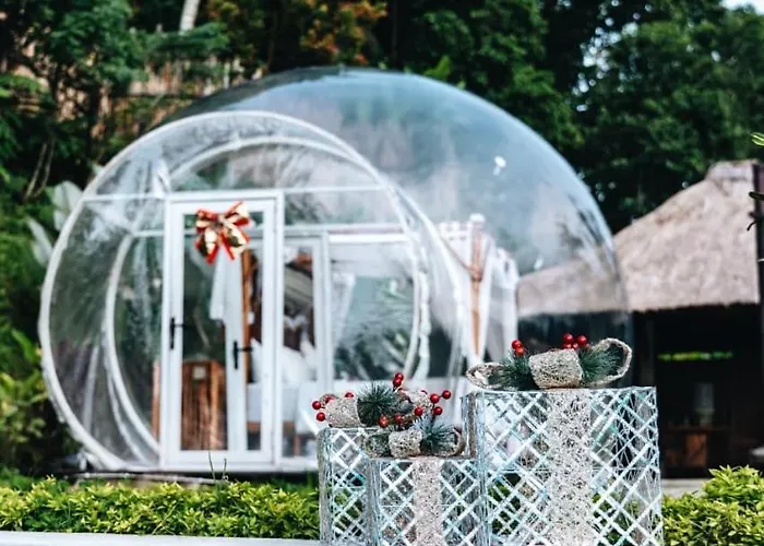 Bubble 8 - Private Pool Jungle Escape Ubud 2*