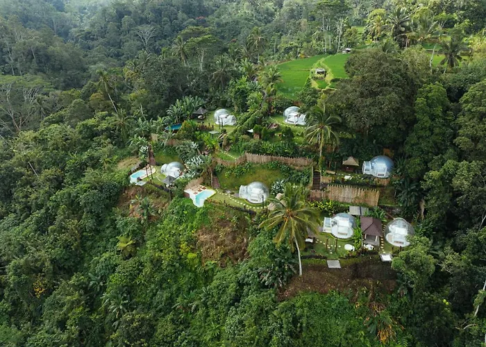 Bubble 8 - Private Pool Jungle Escape Ubud ホテル 2*